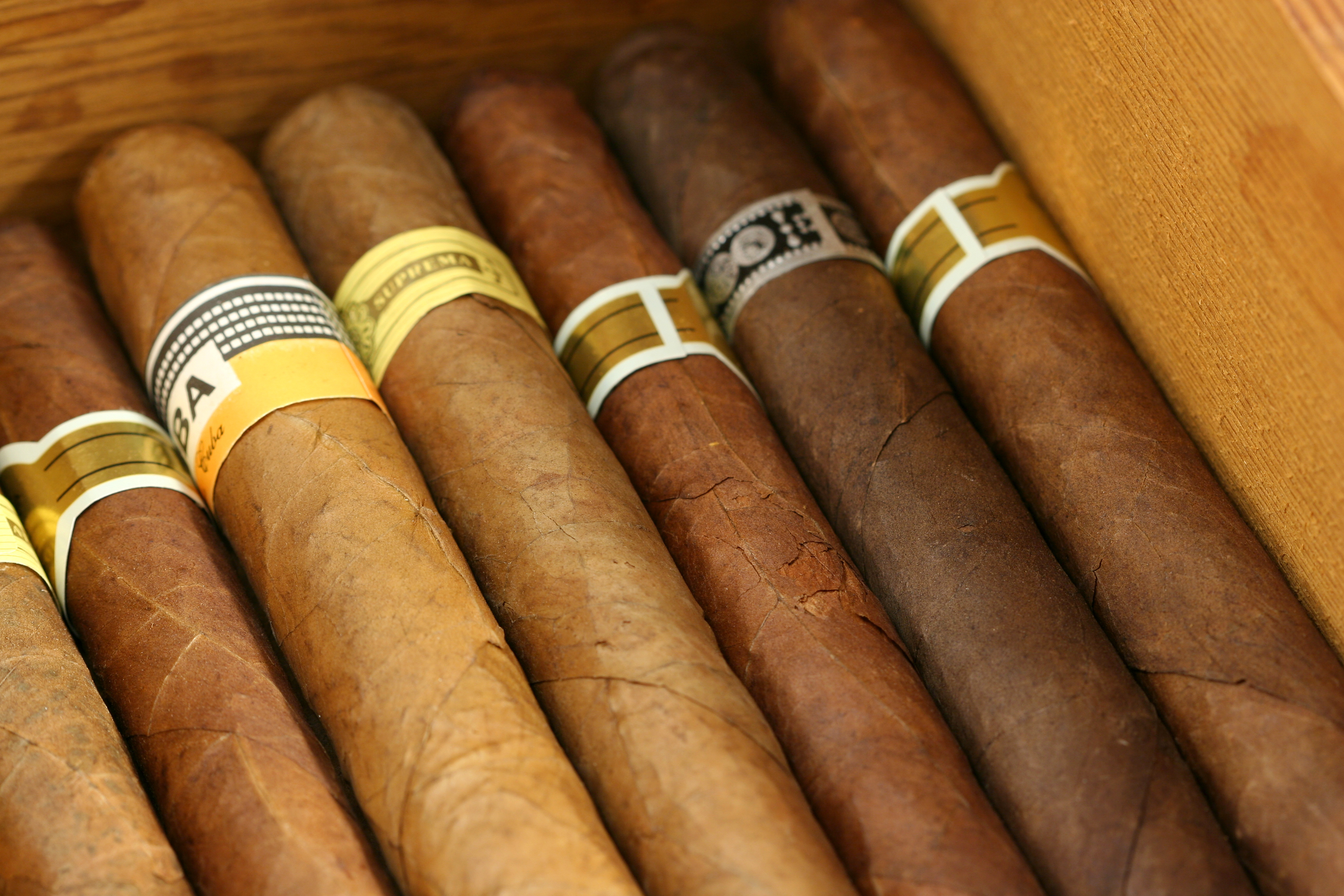 Cigars Great Selection Old Port Wine Cigars Portland Maine Cigars Great Selection Old Port Wine Cigars Portland Maine