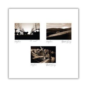 Robert Sinskey Point of View 2013